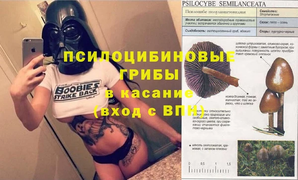 трава Алексин